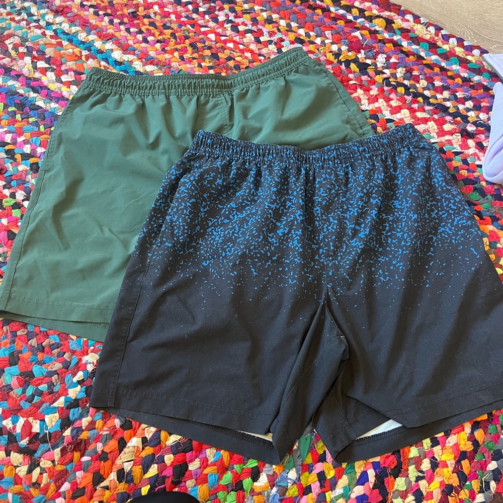 Chubbies Lined Shorts